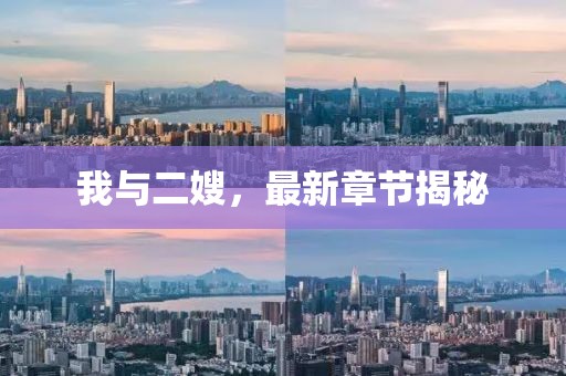 我与二嫂，最新章节揭秘