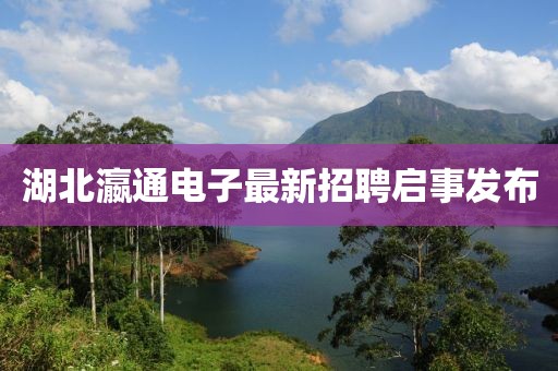 湖北瀛通电子最新招聘启事发布