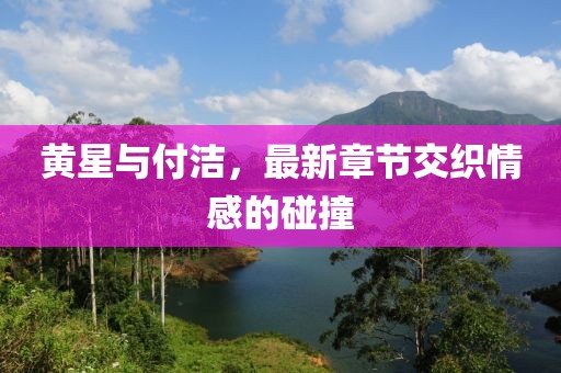 黄星与付洁，最新章节交织情感的碰撞