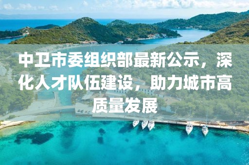 中卫市委组织部最新公示，深化人才队伍建设，助力城市高质量发展