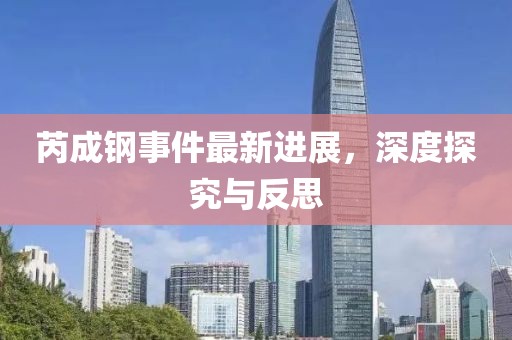 芮成钢事件最新进展，深度探究与反思
