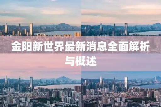 金阳新世界最新消息全面解析与概述