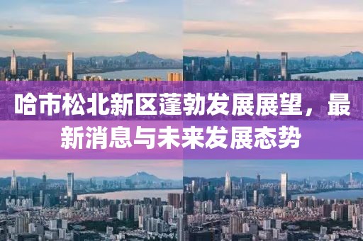 哈市松北新区蓬勃发展展望，最新消息与未来发展态势