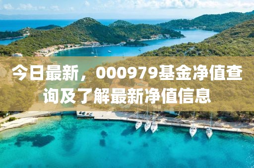 今日最新，000979基金净值查询及了解最新净值信息