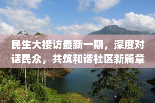 民生大接访最新一期，深度对话民众，共筑和谐社区新篇章