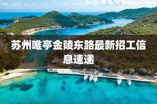 苏州唯亭金陵东路最新招工信息速递