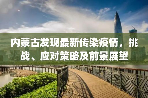 内蒙古发现最新传染疫情，挑战、应对策略及前景展望