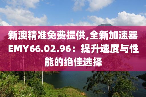 新澳精准免费提供,全新加速器EMY66.02.96：提升速度与性能的绝佳选择