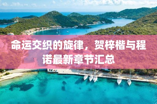 命运交织的旋律，贺梓楷与程诺最新章节汇总