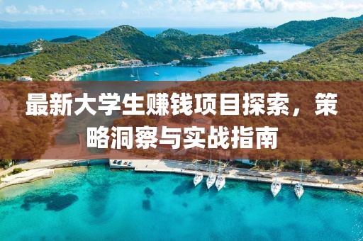 最新大学生赚钱项目探索，策略洞察与实战指南