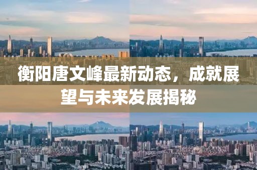 衡阳唐文峰最新动态，成就展望与未来发展揭秘