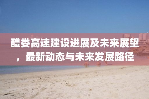 醴娄高速建设进展及未来展望，最新动态与未来发展路径