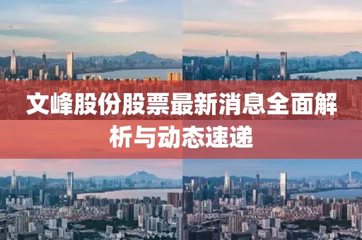 文峰股份股票最新消息全面解析与动态速递