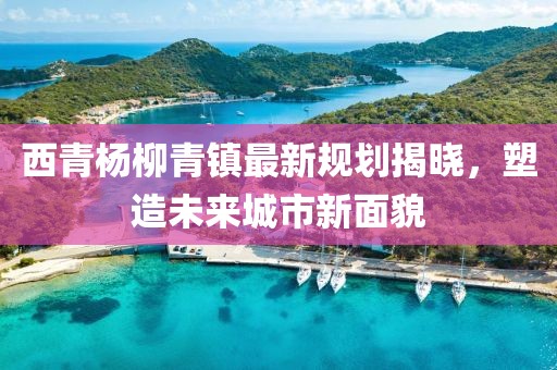 西青杨柳青镇最新规划揭晓，塑造未来城市新面貌