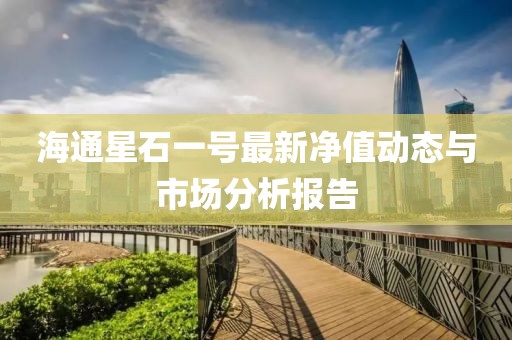 海通星石一号最新净值动态与市场分析报告