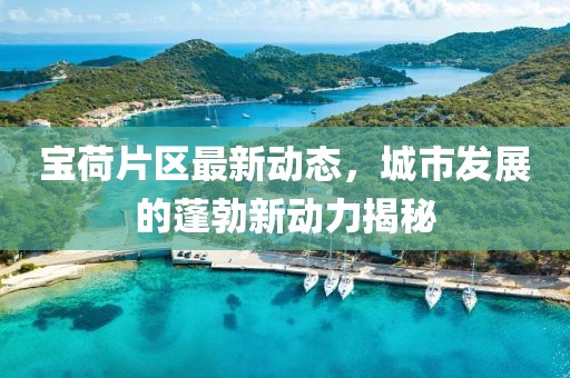 宝荷片区最新动态，城市发展的蓬勃新动力揭秘