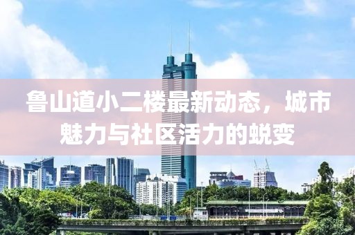 鲁山道小二楼最新动态，城市魅力与社区活力的蜕变