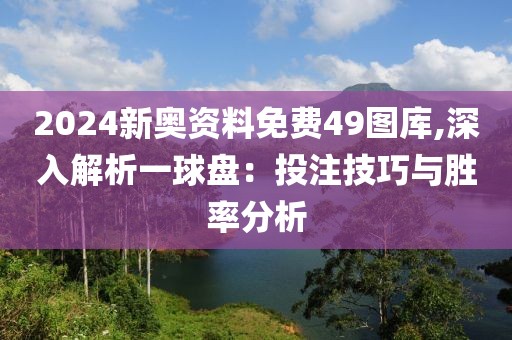 2024新奥资料免费49图库,深入解析一球盘：投注技巧与胜率分析