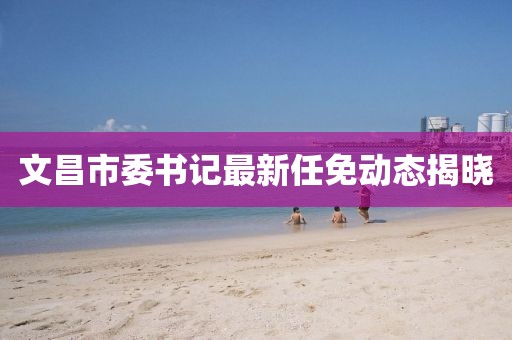 文昌市委书记最新任免动态揭晓