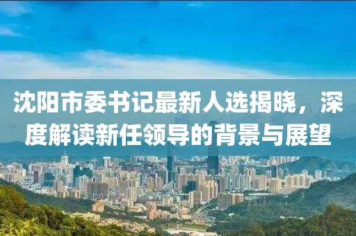 沈阳市委书记最新人选揭晓，深度解读新任领导的背景与展望