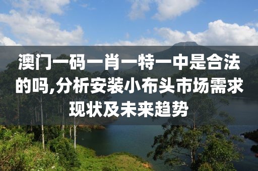 澳门一码一肖一特一中是合法的吗,分析安装小布头市场需求现状及未来趋势