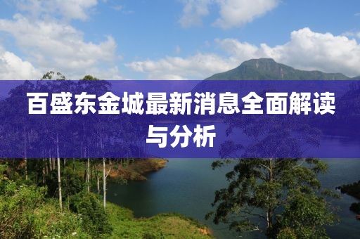 百盛东金城最新消息全面解读与分析