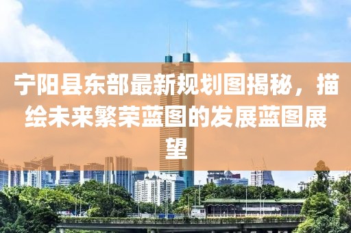 宁阳县东部最新规划图揭秘，描绘未来繁荣蓝图的发展蓝图展望