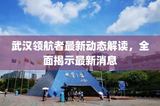 武汉领航者最新动态解读，全面揭示最新消息
