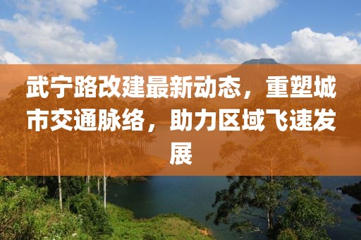 武宁路改建最新动态，重塑城市交通脉络，助力区域飞速发展