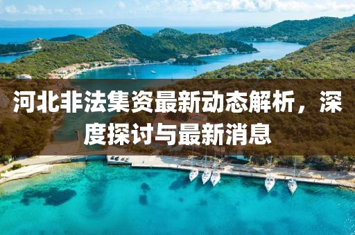 河北非法集资最新动态解析，深度探讨与最新消息