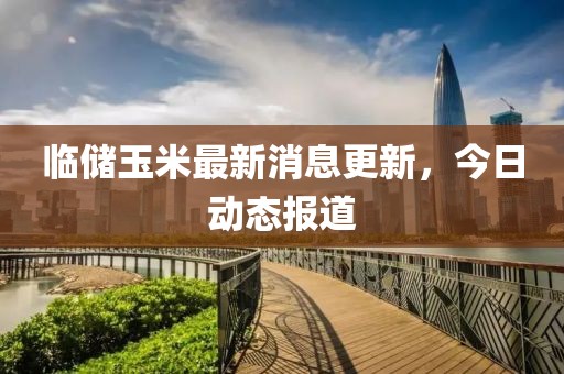 临储玉米最新消息更新，今日动态报道