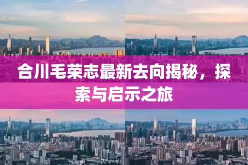 合川毛荣志最新去向揭秘，探索与启示之旅