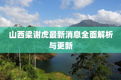 山西梁谢虎最新消息全面解析与更新