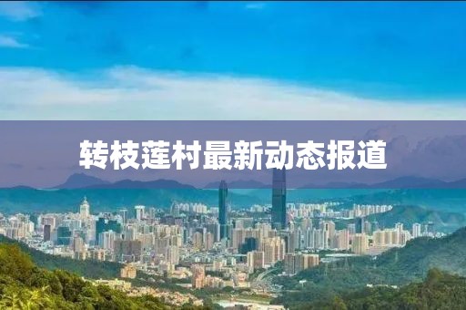 转枝莲村最新动态报道