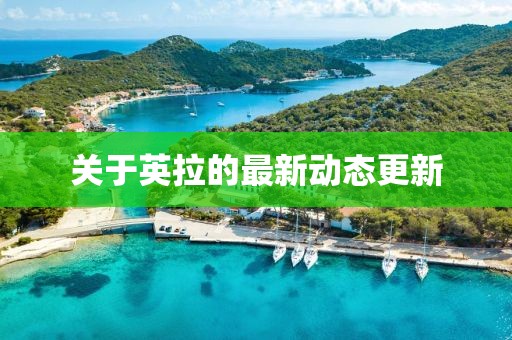 关于英拉的最新动态更新