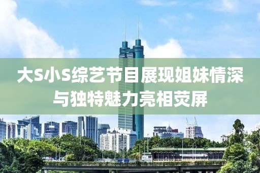 大S小S综艺节目展现姐妹情深与独特魅力亮相荧屏