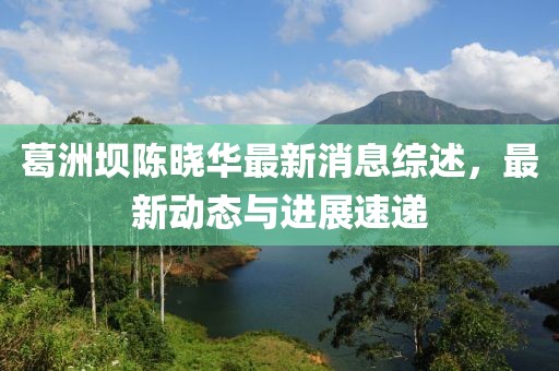 葛洲坝陈晓华最新消息综述，最新动态与进展速递