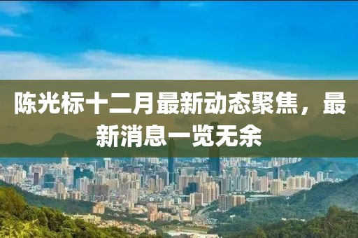 陈光标十二月最新动态聚焦，最新消息一览无余
