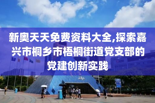 新奥天天免费资料大全,探索嘉兴市桐乡市梧桐街道党支部的党建创新实践