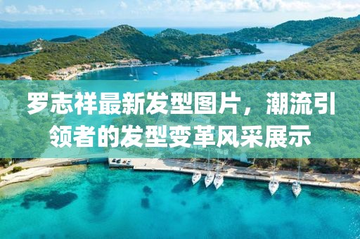 罗志祥最新发型图片，潮流引领者的发型变革风采展示