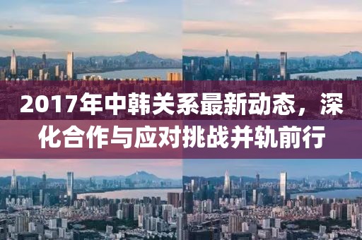 2017年中韩关系最新动态，深化合作与应对挑战并轨前行