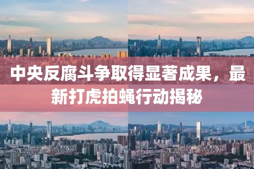 中央反腐斗争取得显著成果，最新打虎拍蝇行动揭秘