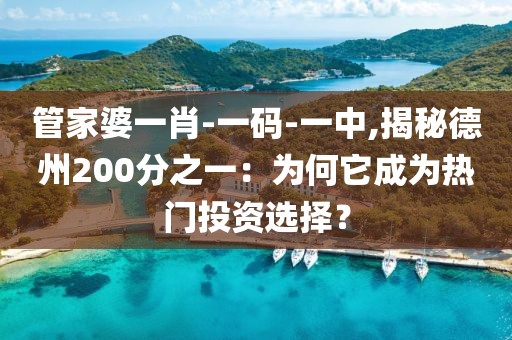 管家婆一肖-一码-一中,揭秘德州200分之一：为何它成为热门投资选择？