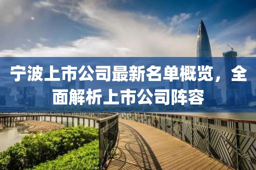 宁波上市公司最新名单概览，全面解析上市公司阵容