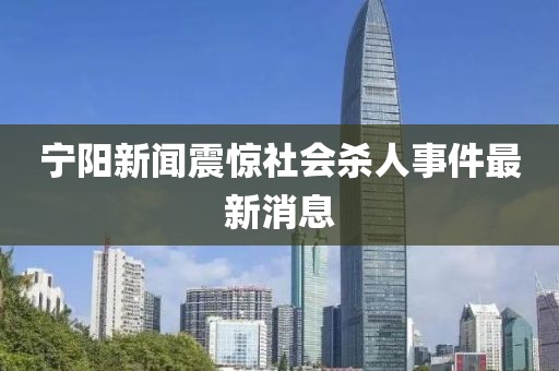 宁阳新闻震惊社会杀人事件最新消息