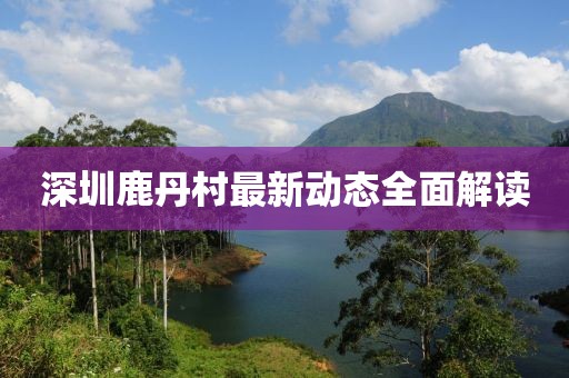 深圳鹿丹村最新动态全面解读