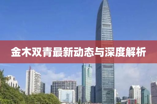 金木双青最新动态与深度解析