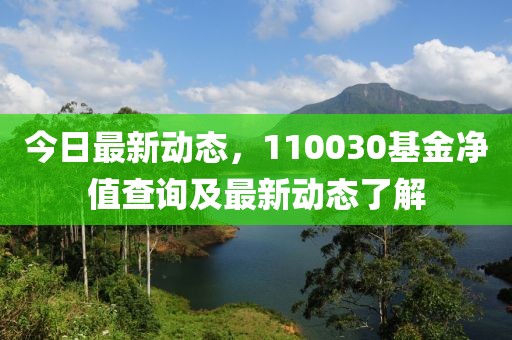 今日最新动态，110030基金净值查询及最新动态了解