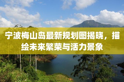 宁波梅山岛最新规划图揭晓，描绘未来繁荣与活力景象