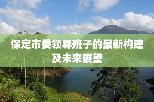 保定市委领导班子的最新构建及未来展望